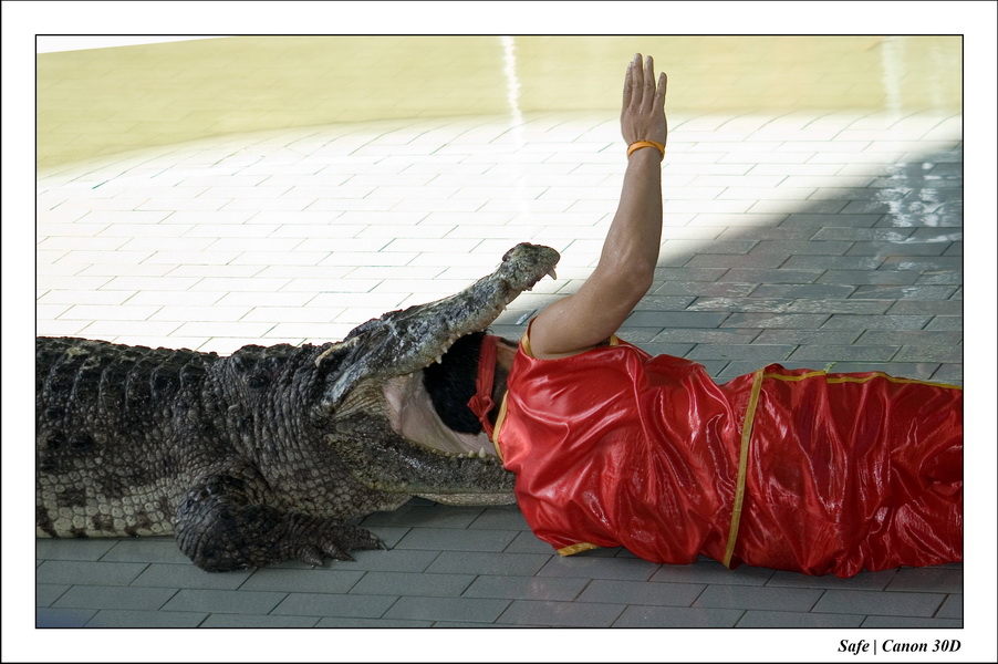 2006 - 08 - Pattaya - Crocodile farm 07